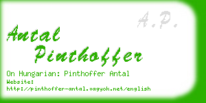 antal pinthoffer business card